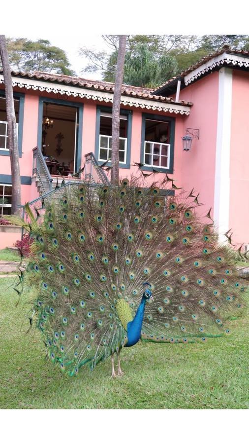 Hotel Fazenda Uniao Rio das Flores Zewnętrze zdjęcie